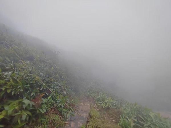 ▲湖南永州「千年鳥道」出現鎖定過冬候鳥的鳥盜。（圖／翻攝封面新聞）
