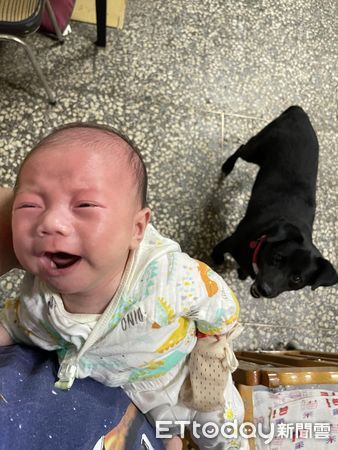  ▲保姆初體驗？黑狗遇嬰兒在哭「白眼驚恐臉」緊張坐姿：夭壽喔～（圖／網友Freda Hsieh提供，請勿隨意翻拍，以免侵權。）
