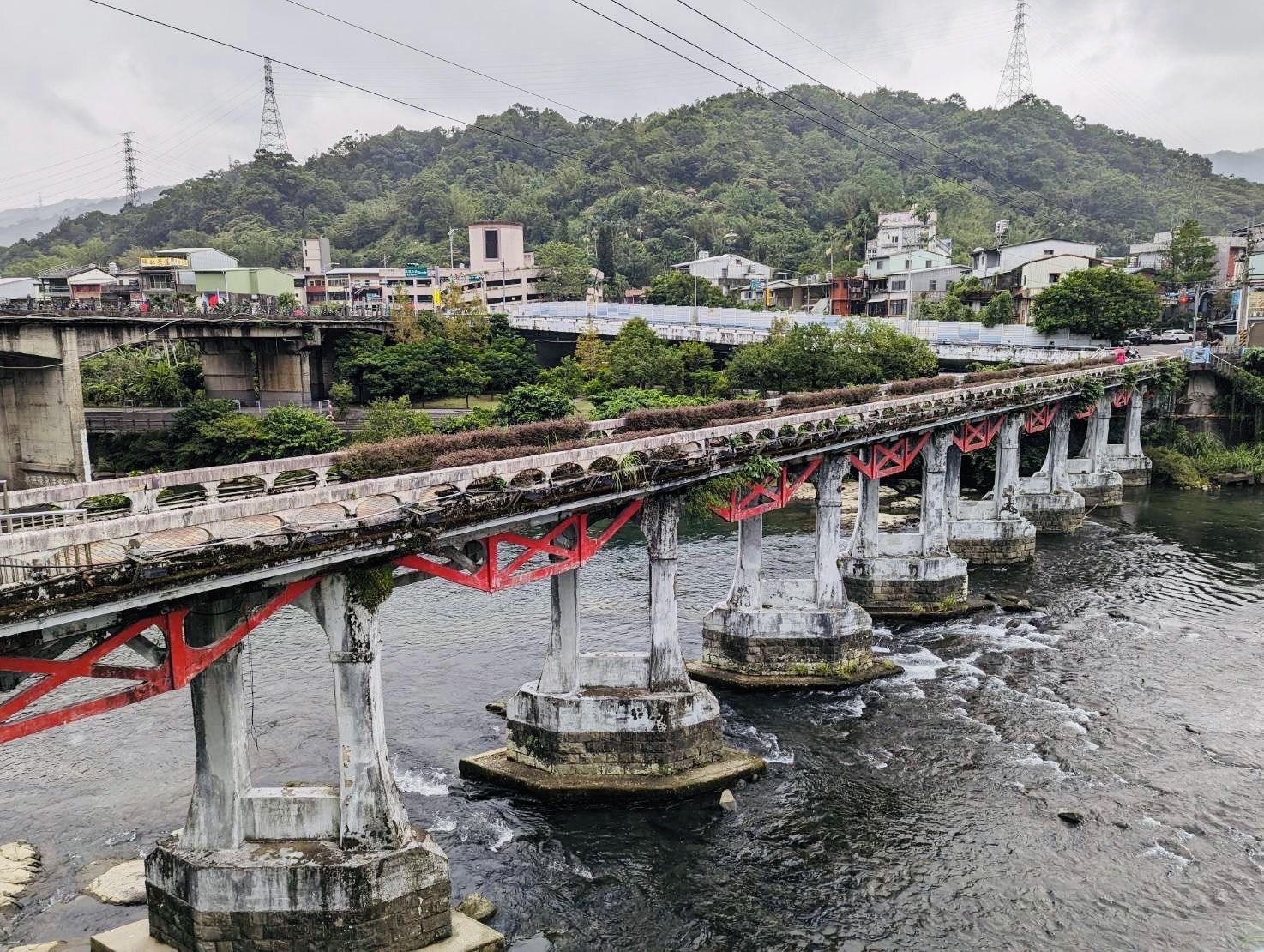 ▲新北走讀古蹟任意門 坪林返鄉青年導讀文化資產。（圖／新北市文化局提供）