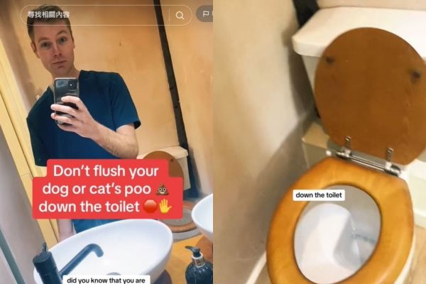英國獸醫呼籲飼主不要把寵物排泄物沖進馬桶裡。（圖／翻攝自TikTok／ben.the.vet）