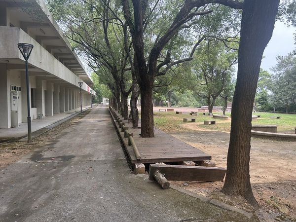 ▲芬園行政園區荒廢18年遭到監察院糾正。（圖／芬園鄉公所提供）