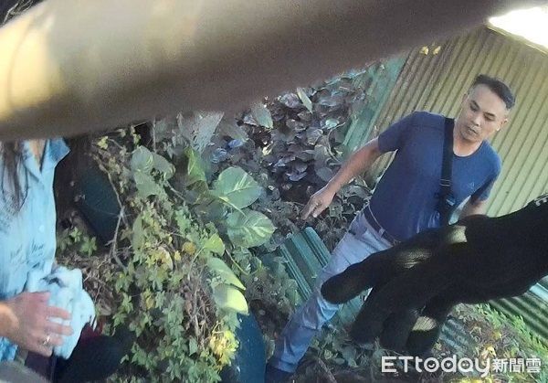 ▲▼但女通緝犯卻提鞋打赤腳從後門逃竄，被神預料的埋伏員警當場逮捕。（圖／桃園警分局提供）