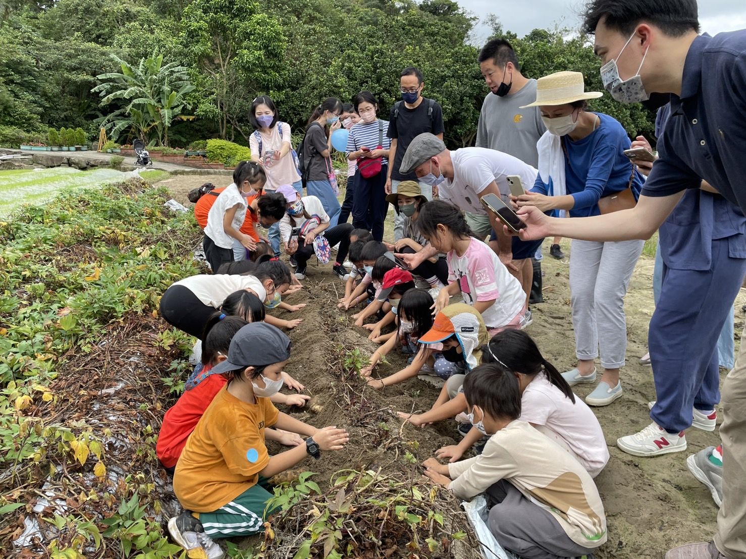 ▲▼食農教育,內湖休閒農園,白石森活休閒農場,梅居休閒農場,清香休閒農場,農驛棧農場。（圖／業者提供）