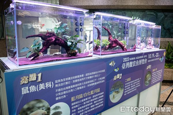 ▲2023臺灣觀賞魚博覽會今明兩天在高雄展覽館登場。（圖／漁業署提供）