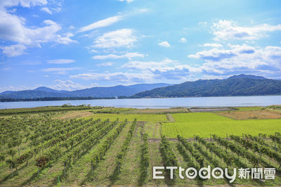 喝一杯有意義的酒！　減碳環保的再生有機葡萄酒