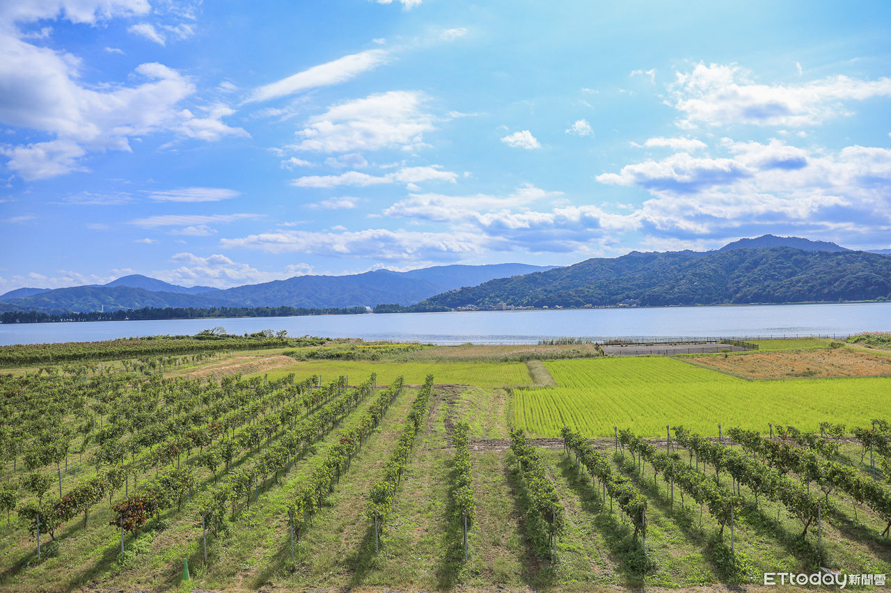▲▼京都天橋立酒莊，京都天橋立葡萄酒廠。（圖／記者蔡玟君攝）