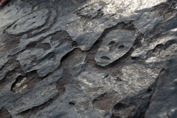 ▲巴西考古學家在亞馬遜河發現「人臉石刻」。（圖／路透）