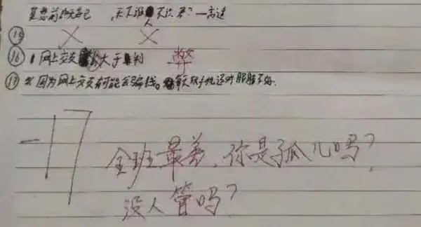 ▲老師在作業本上留下令人難堪的侮辱性評語。（圖／翻攝大皖新聞）