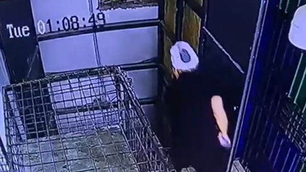 ▲▼哈薩克麵包師傅被電梯壓死。（圖／翻攝自YouTube）