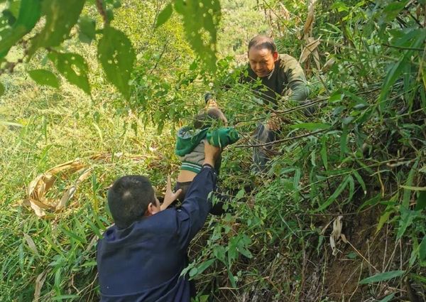 ▲▼山上失蹤！陸3歲女童竟被野猴拖回山裡　滿身抓痕遭丟包懸崖旁。（圖／翻攝自微博）