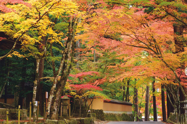 ▲▼廣島佛通寺。（圖／HIT廣島縣觀光聯盟提供）