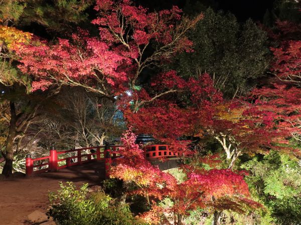 ▲▼廣島紅葉谷公園。（圖／HIT廣島縣觀光聯盟提供）