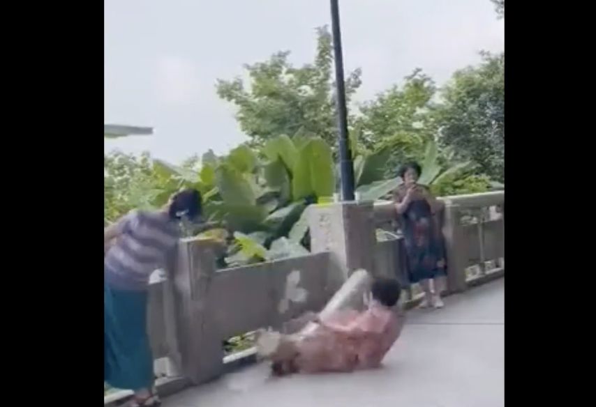 廣東「神力」大媽公園健身一拉　石欄杆斷三截倒地重摔旁人全嚇傻 | ETt