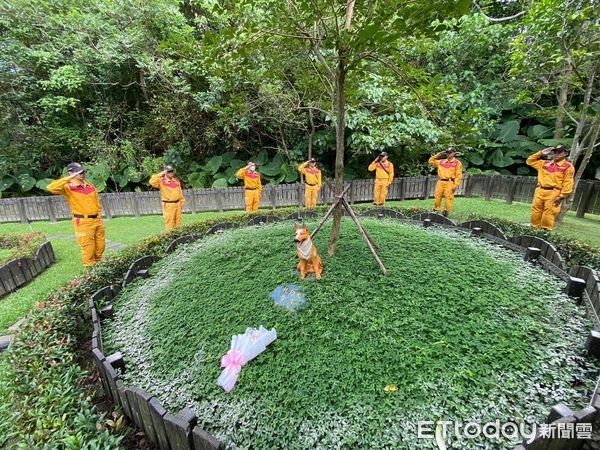 ▲▼       北市資深榮譽搜救犬Pasha病逝      。（圖／翻攝臉書／台北市搜救隊）