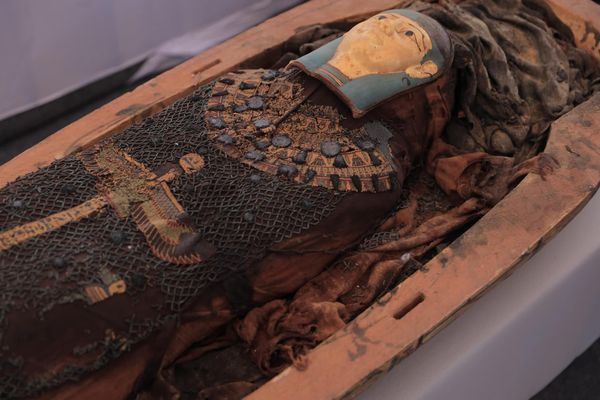 ▲▼埃及3500年歷史古墓出土木乃伊與罕見保存良好的《亡靈書》。（圖／翻攝自Facebook／tourismandantiq）