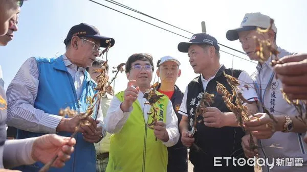 ▲▼小犬颱風過境導致苗栗縣後龍地區稻米、黑豆災損嚴重，苗栗縣長鍾東錦與陳超明立委今日邀請農業部農糧署及相關單位會勘。（圖／陳超明服務處提供）