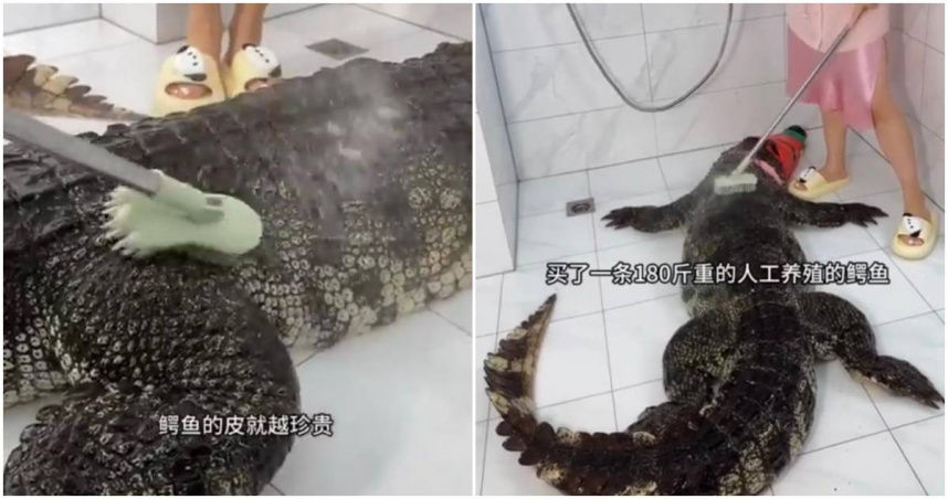 女網紅殺「90公斤鱷魚」剝皮做包！影片曝光遭轟低俗噁心 | ETtoda