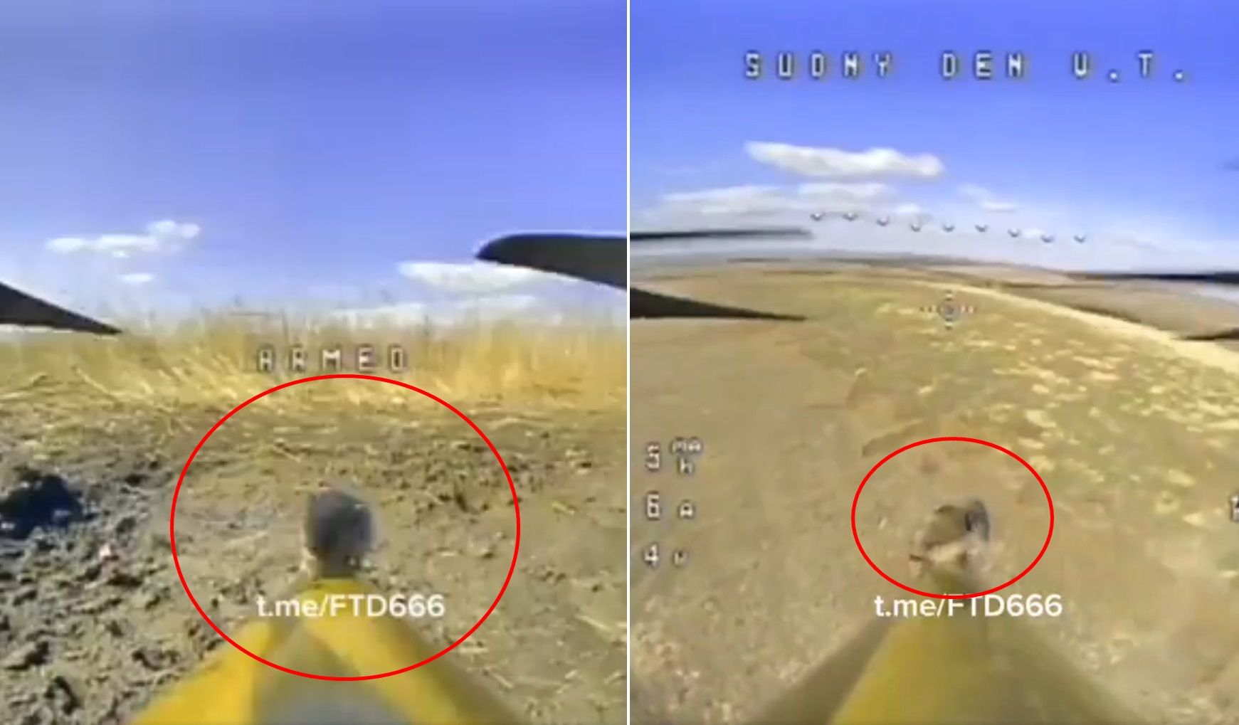 ▲一隻老鼠不幸搭上俄羅斯自殺無人機，最終不幸命喪烏克蘭陣地。（圖／翻攝自X）
