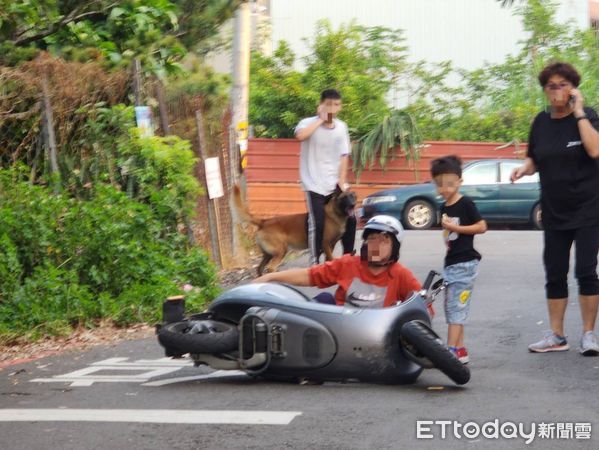 ▲▼狼犬發狠攻擊路人，阿嬤手腳遭撕咬，鮮血直流，還好孫子沒受傷。（圖／民眾提供，下同）