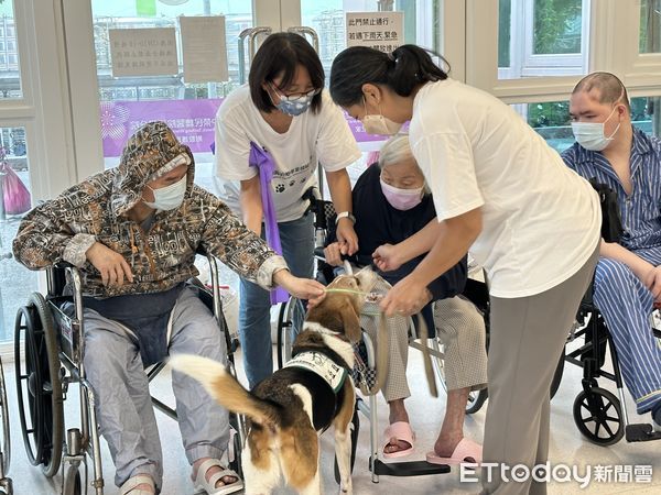 ▲▼「狗醫生」與高齡阿公阿嬤開心互動。（圖／台中榮總埔里分院提供）