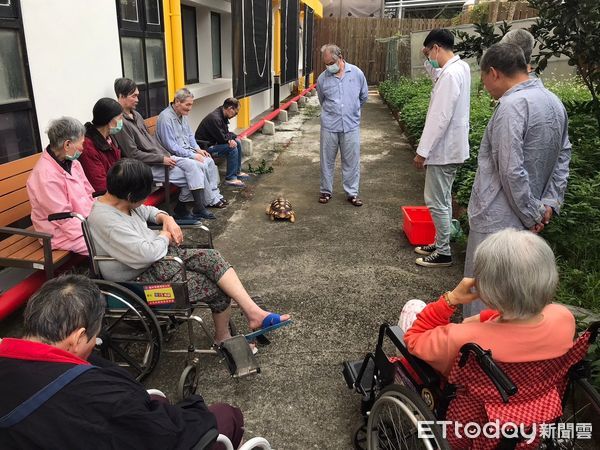 ▲中榮埔里分院附設護理之家辦理「動物輔助治療」活動。（圖／台中榮總埔里分院提供）