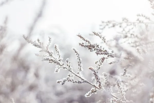 明天就是立冬，命理專家分享5生肖在立冬期間運勢特別旺。示意圖。（取自Pexels）