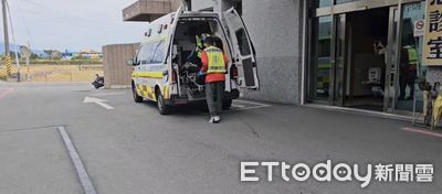 「會走路的樹」虎頭蜂螫死遊客!領隊竟無證照 業者判賠548萬