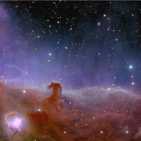 ▲▼             。（圖／）