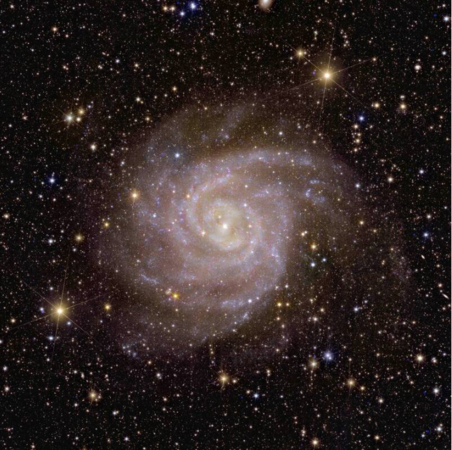 ▲▼             。（圖／）