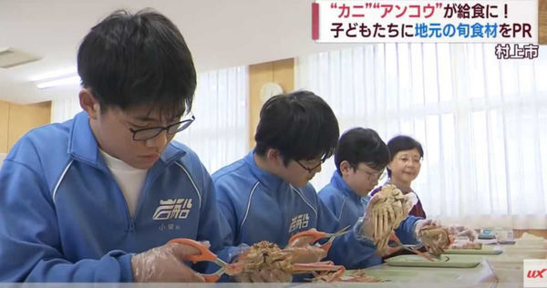 當地人也羨慕！新瀉國中營養午餐「一人一隻松葉蟹」　學生大啖鮮美蟹肉直呼：超幸福