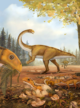 ▲發現1.9億年前埋藏的恐龍化石群。（圖／翻攝自環球網）