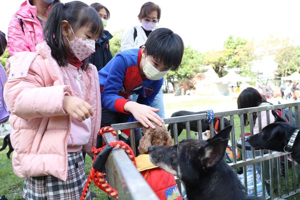 ▲新北毛寶貝幸福耶誕趴11／25登場。（圖／新北市動保處提供）