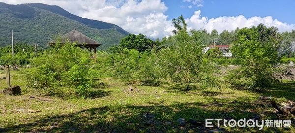 ▲花蓮分署經過蒸餾萃取純露，開發成生活用品，包括洗手慕斯、沐浴液體皂及洗衣精等多樣商品。（圖／花蓮分署提供，下同）