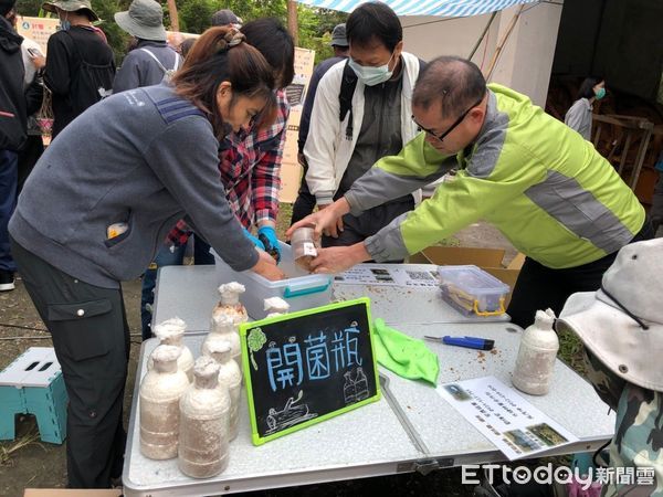 ▲▼造林地內種植不少適合栽培段木香菇的樹種。（圖／花蓮分署提供，下同）