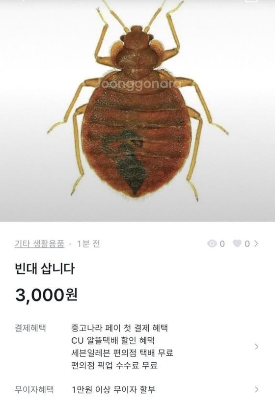 ▲▼南韓一名網友在二手拍賣網站上發文，希望有人能賣給他床蝨。（圖／翻攝自韓網）