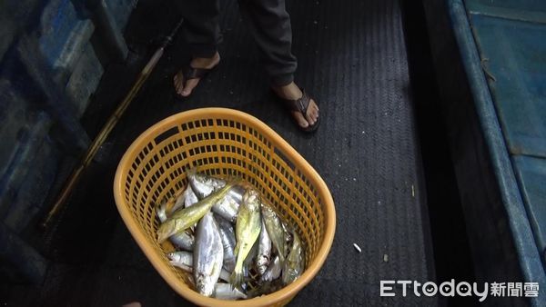 ▲▼      搶捕高價黃魚！陸漁船闖金門海域狂撈　海巡特勤幹員聯手查扣       。（圖／記者林名揚翻攝）