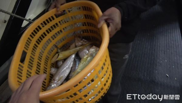 ▲▼      搶捕高價黃魚！陸漁船闖金門海域狂撈　海巡特勤幹員聯手查扣       。（圖／記者林名揚翻攝）