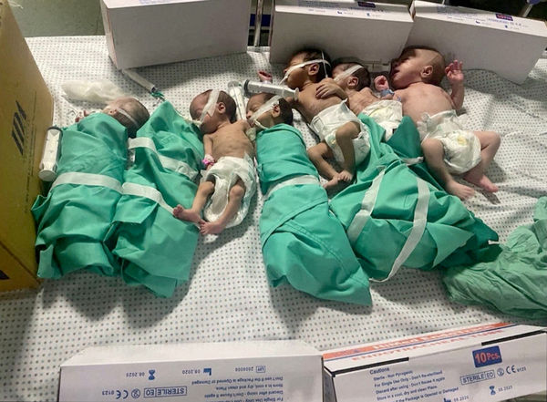 ▲▼加薩走廊最大的西法醫院（Al-Shifa Hospital）電力中斷導致至少5名早產兒死亡。（圖／路透）