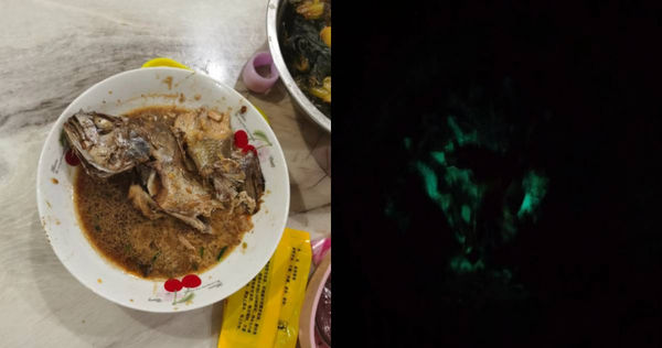 女網友發現媽媽煮的紅燒魚到了晚上竟會發出綠色的螢光。（圖／翻攝＠劉大可先生微博）