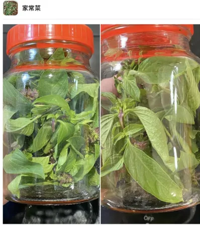 ▲▼             。（圖／）