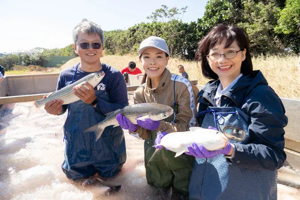 ▲新竹市長高虹安走訪竹市香山區知名的烏魚養殖場「竹魚水產」。（圖／新竹市政府提供）