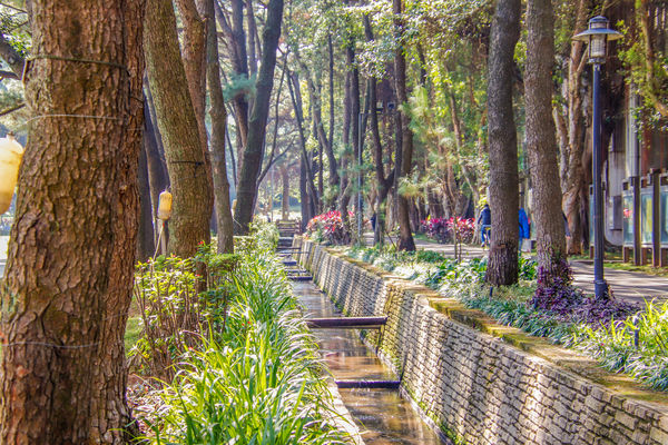 ▲▼ 中央大學 。（圖／翻攝自中央大學官網）