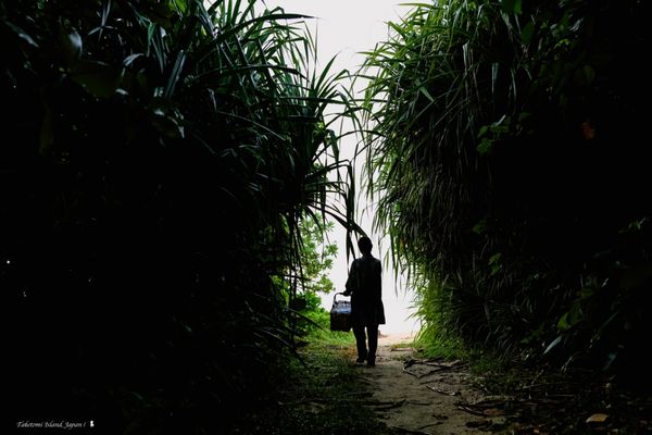 ▲▼虹夕諾雅竹富島，讓旅人住得像在地人。（圖／Ean提供）