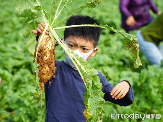 ▲埔里鎮月底將舉辦「2023食在好有趣-嘿呦嘿呦拔蘿蔔」活動，邀請千人共同體驗農田樂。（圖／資料照片，翻攝「作伙生活 廖志城」臉書粉專）