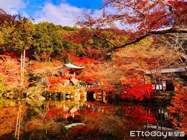 ▲▼京都醍醐寺賞楓，京都紅葉，京都楓葉，京都賞楓，日本賞楓，日本旅遊，日本賞楓景點，日本紅葉景點。（圖／記者蔡玟君攝）