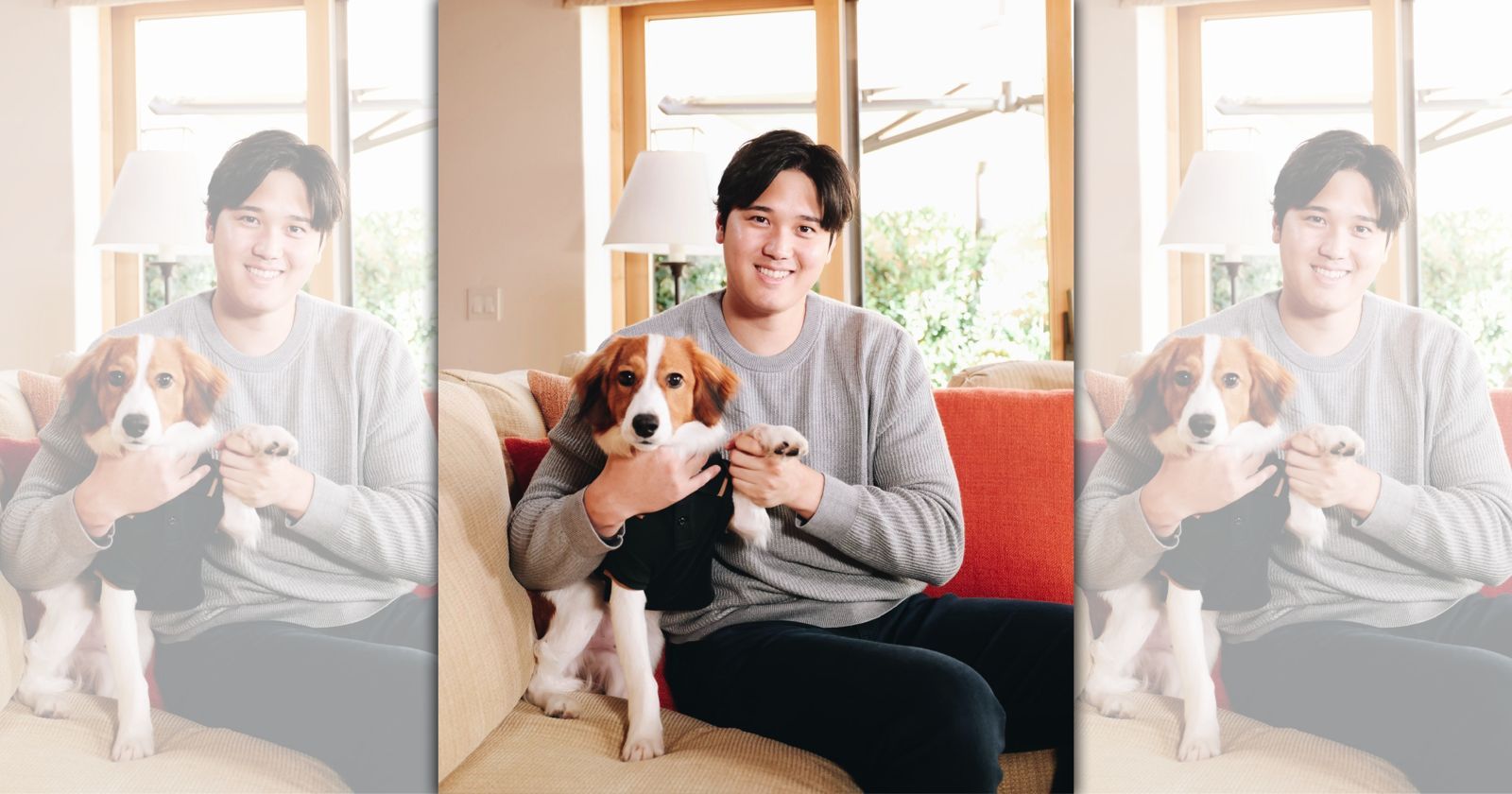 Shohei Otani’s dog famous! Fans who want to keep the same breed