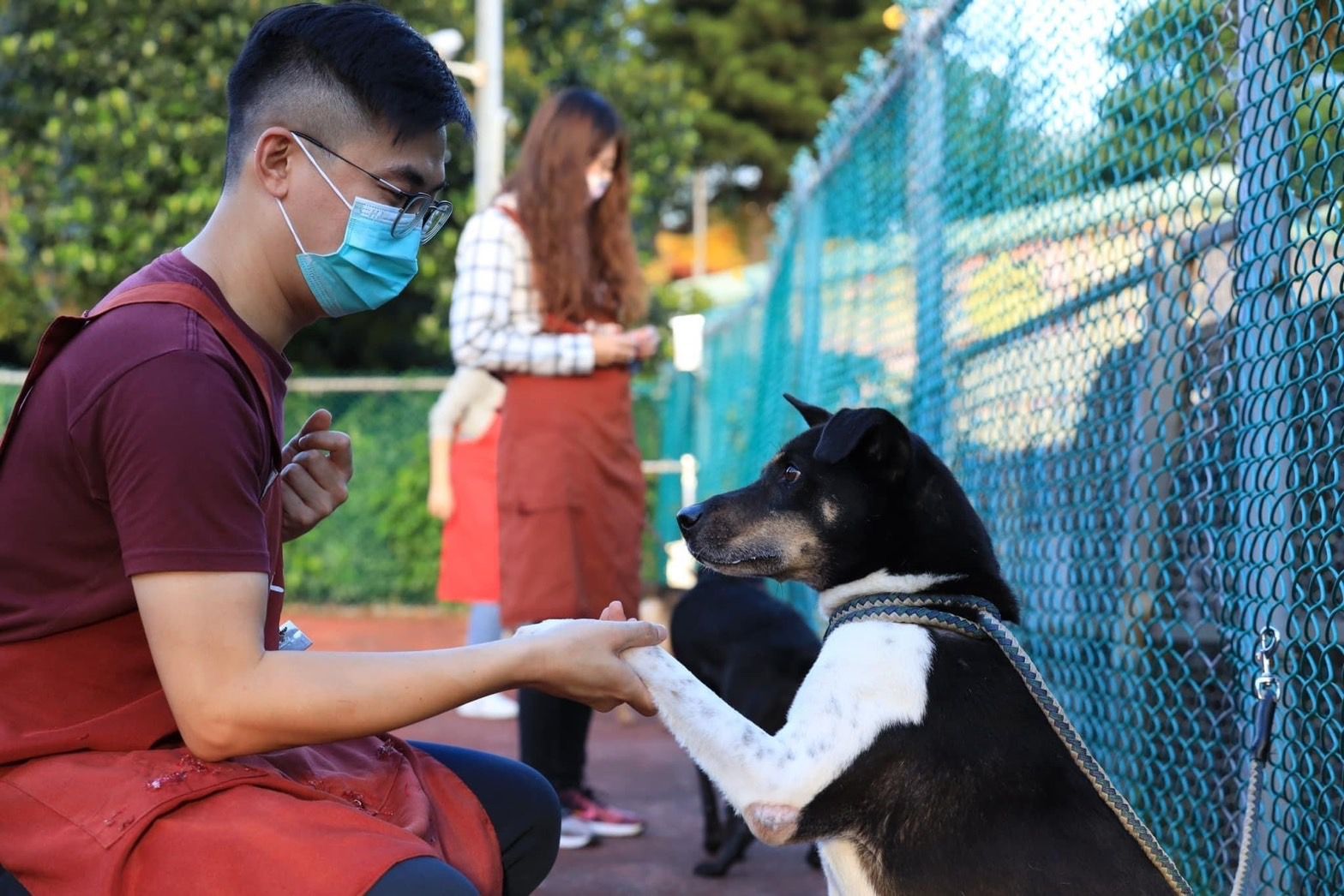 ▲新北板橋動物之家志工喜結良緣。（圖／新北市動保處提供）