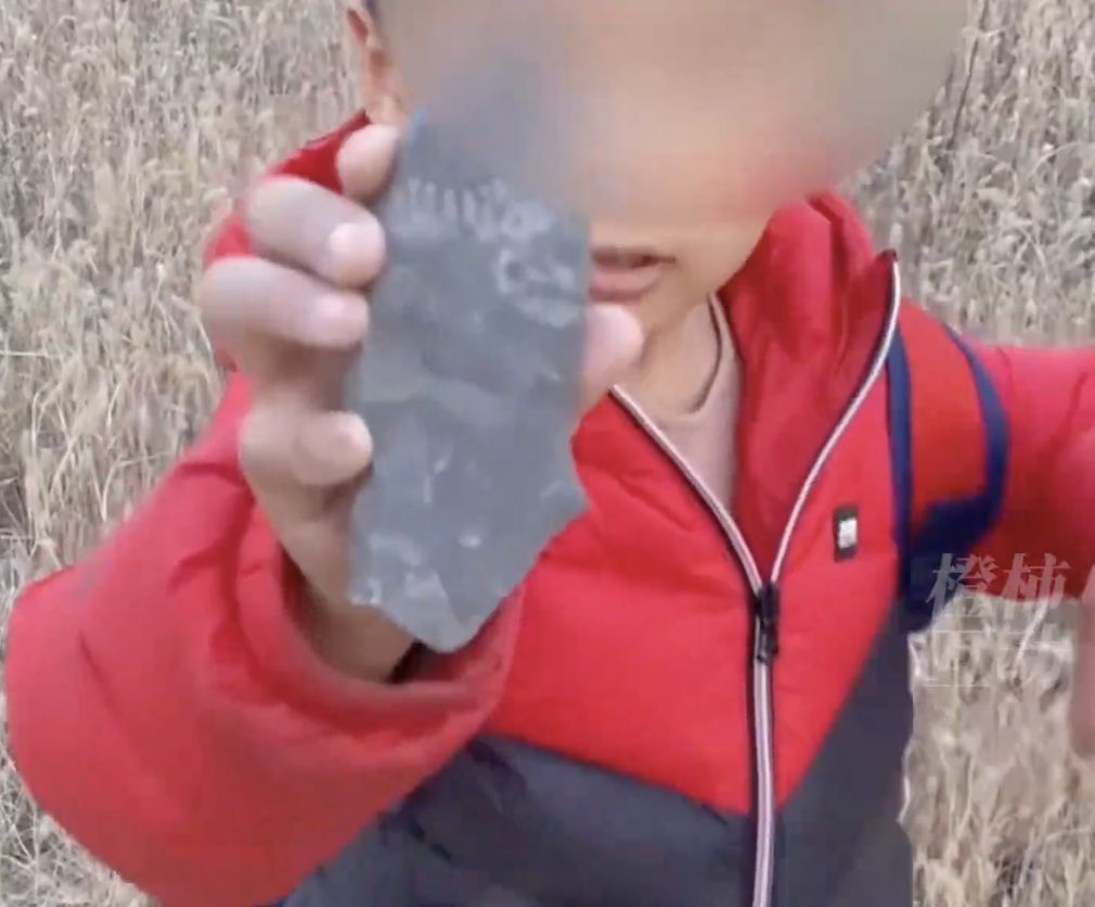 ▲▼「我找到了！」5歲弟爬山撿怪石頭　竟是5億年前古生物化石。（圖／翻攝自橙柿）