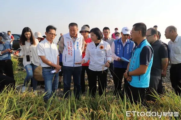 ▲縣長張麗善獲知稻作延遲性災損嚴重，會同大埤鄉長林森寳、農會總幹事吳昌遠、台南區農改場嘉義分場緊急會勘稻作現況並爭取救助。（圖／記者蔡佩旻翻攝）