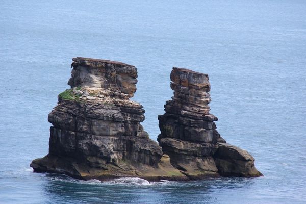 ▲新北推動「嗨漁港」樂生活 遊北海岸泡湯大啖萬里蟹。（圖／新北市漁業處提供）